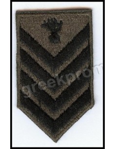 ΠΕΤΟΥ ΑΡΧΙΛΟΧΙΑ ΛΟΙΠΩΝ 2