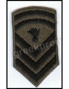 ΠΕΤΟΥ ΕΠΙΛΟΧΙΑ ΜΟΝΙΜΟΥ 2