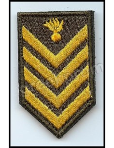 ΠΕΤΟΥ ΑΡΧΙΛΟΧΙΑ ΛΟΙΠΩΝ