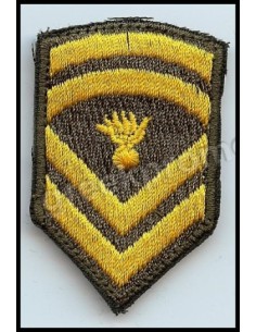 ΠΕΤΟΥ ΛΟΧΙΑ ΜΟΝΙΜΟΥ