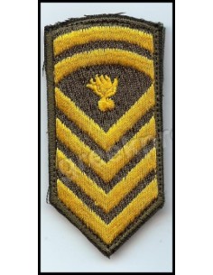 ΠΕΤΟΥ ΑΡΧΙΛΟΧΙΑ ΜΟΝΙΜΟΥ