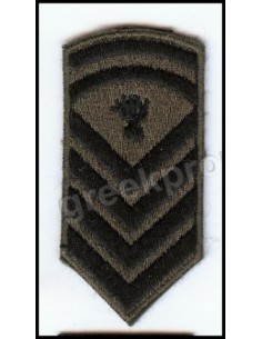 ΠΕΤΟΥ ΑΡΧΙΛΟΧΙΑ ΜΟΝΙΜΟΥ 2