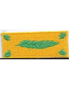 ΔΙΑΚΕΚΡΙΜΕΝΟΣ ΟΠΛΙΤΗΣ ΠΕΤΟΥ