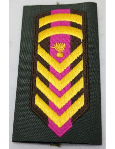 ΦΑΚΕΛΛΑ ΜΟΝIMOY ΑΡΧΙΛΟΧΙΑ ΡΙΓΕ