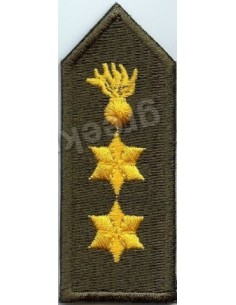 ΠΕΤΟΥ ΑΝΤΙΣΥΝΤΑΓΜΑΤΑΡΧΗ