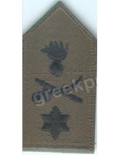 ΤΑΞΙΑΡΧΟΣ ΠΕΤΟΥ