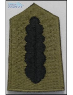 ΠΕΤΟΥ ΔΑΦΝΕΣ ΣΤΡΑΤΗΓΩΝ