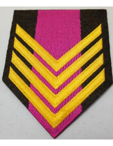 ΓΑΛΟΝΙΑ ΛΟΙΠΩΝ ΑΡΧΙΛΟΧΙΑ ΡΙΓΕ