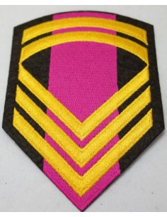 ΓΑΛΟΝΙΑ ΜΟΝΙΜΟΥ ΕΠΙΛΟΧΙΑ ΡΙΓΕ