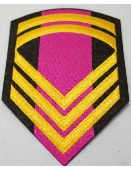 ΓΑΛΟΝΙΑ ΜΟΝΙΜΟΥ ΕΠΙΛΟΧΙΑ ΡΙΓΕ