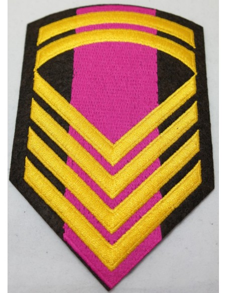 ΓΑΛΟΝΙΑ ΜΟΝΙΜΟΥ ΑΡΧΙΛΟΧΙΑ ΡΙΓΕ