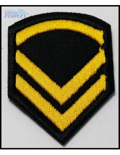 ΚΕΛΕΥΣΤΗΣ ΠΕΤΟΥ