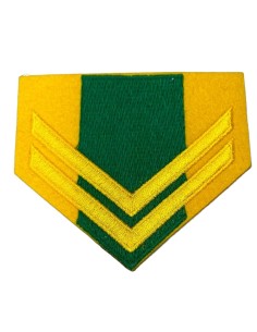 ΓΑΛΟΝΙΑ ΛΟΙΠΩΝ ΛΟΧΙΑ ΡΙΓΕ