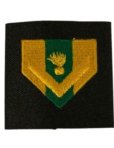 ΦΑΚΕΛΛΑ ΛΟΙΠΩΝ ΔΝΕΑ ΡΙΓΕ