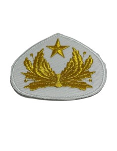 ΔΙΑΚΡΙΤΙΚΑ ΑΡΧΗΓΟΥ ΣΝΔ  ΧΡΥΣΑ