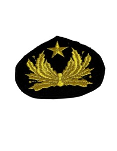 ΔΙΑΚΡΙΤΙΚΑ ΑΡΧΗΓΟΥ ΣΝΔ  ΧΡΥΣΑ 2