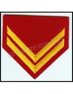 ΓΑΛΟΝΙΑ ΛΟΙΠΩΝ ΛΟΧΙΑ