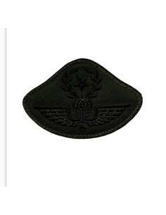 ΠΟΥΛΑΔΑ ΑΣΤΕΡΙ ΔΑΦΝΗ