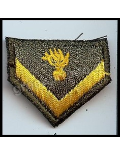 ΠΕΤΟΥ ΛΟΙΠΩΝ ΔΕΚΑΝΕΑΣ