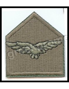 ΠΕΤΟΥ ΑΕΤΟΣ