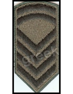 ΠΕΤΟΥ ΜΟΝ. ΑΡΧΙΣΜΗΝΙΑ