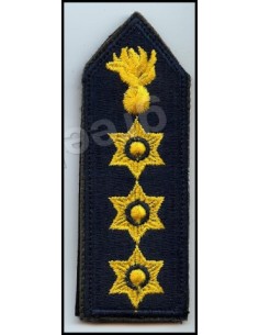 ΠΕΤΟΥ ΑΣΤΥΝΟΜΙΚΟΥ ΔΙΕΥΘΥΝΤΗ