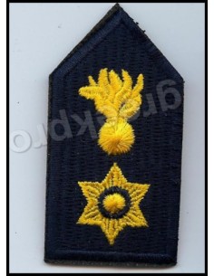 ΠΕΤΟΥ ΑΣΤΥΝΟΜΟΥ Α