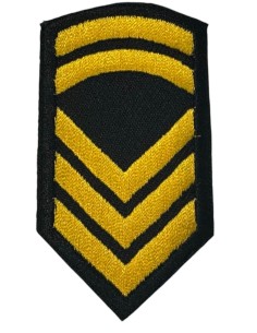 ΕΠΙΚΕΛΕΥΣΤΗΣ ΠΕΤΟΥ ΣΜΥΝ