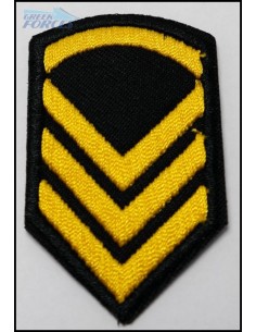 ΕΠΙΚΕΛΕΥΣΤΗΣ ΠΕΤΟΥ 2