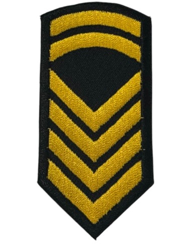 ΑΡΧΙΚΕΛΕΥΣΤΗΣ ΠΕΤΟΥ ΣΜΥΝ