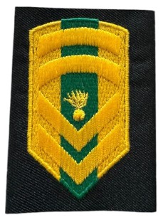 ΦΑΚΕΛΛΑ ΜΟΝΙΜΟΥ ΛΟΧΙΑ ΡΙΓΕ