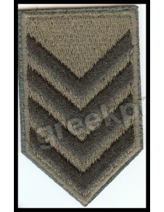 ΠΕΤΟΥ ΛΟΙΠΩΝ ΑΡΧΙΣΜΗΝΙΑ