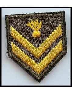 ΠΕΤΟΥ ΛΟΙΠΩΝ ΛΟΧΙΑΣ