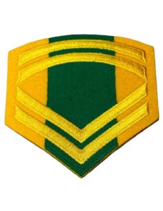 ΓΑΛΟΝΙΑ ΜΟΝΙΜΟΥ ΛΟΧΙΑ ΡΙΓΕ