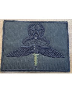 ΠΟΥΛΑΔΑ ΑΜΕΡΙΚΑΝΙΚΗ ΜΕ ΣΠΑΘΙ ΑΣΤΕΡΙ ΔΑΦΝΗ