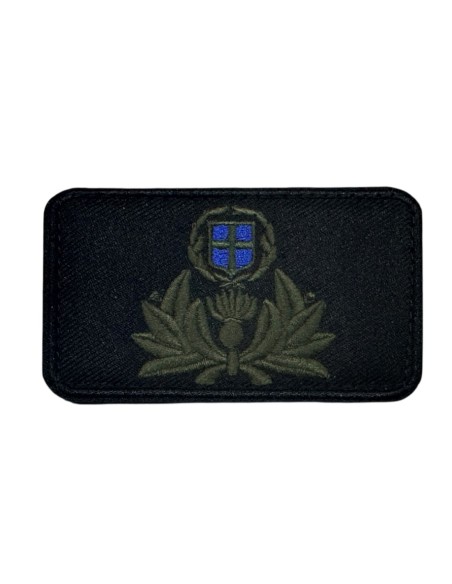 ΕΘΝΟΣΗΜΟ ΜΕ ΒΕΛΚΡΟ ΣΚΛΗΡΟ ΓΙΑ ΚΑΠΕΛΟ ΑΞΙΩΜΑΤΙΚΩΝ