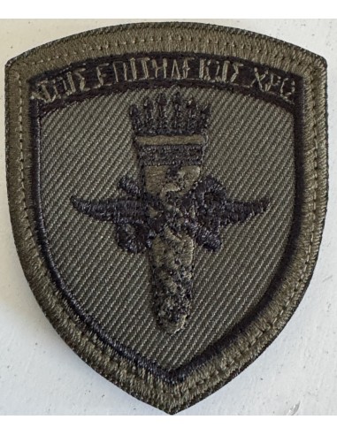 ΕΜΒΛΗΜΑ  ΔΥΒ ΠΑΝΙ