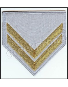 ΓΑΛΟΝΙΑ ΛΟΙΠΩΝ ΣΜΗΝΙΑ ΧΡΥΣΑ