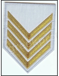 ΓΑΛΟΝΙΑ ΛΟΙΠΩΝ ΑΡΧΙΣΜΗΝΙΑ ΧΡΥΣΑ