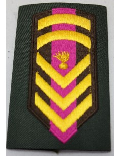 ΦΑΚΕΛΛΑ ΜΟΝΙΜΟΥ ΕΠΙΛΟΧΙΑ ΡΙΓΕ