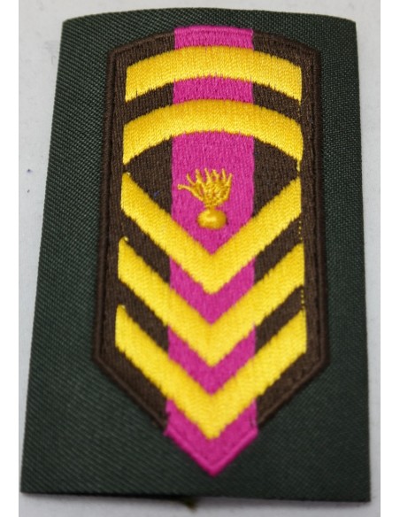 ΦΑΚΕΛΛΑ ΜΟΝΙΜΟΥ ΕΠΙΛΟΧΙΑ ΡΙΓΕ