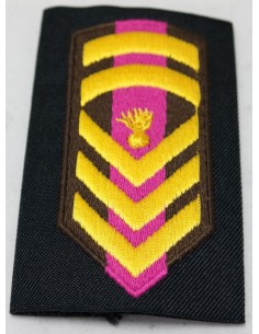 ΦΑΚΕΛΛΑ ΜΟΝΙΜΟΥ ΕΠΙΛΟΧΙΑ ΡΙΓΕ 2