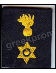 ΘΗΚΕΣ ΑΣΤΥΝΟΜΟΥ Α