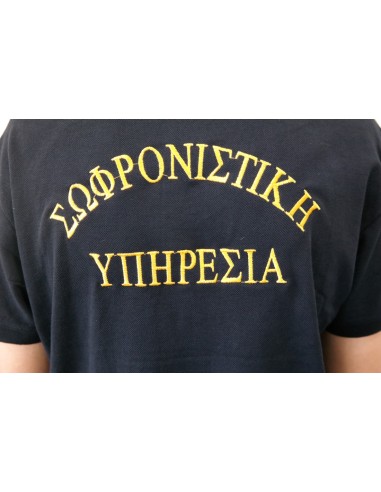POLO ΜΠΛΕ GFII ΣΩΦΡΟΝΙΣΤΙΚΗ ΥΠΗΡΕΣΙΑ