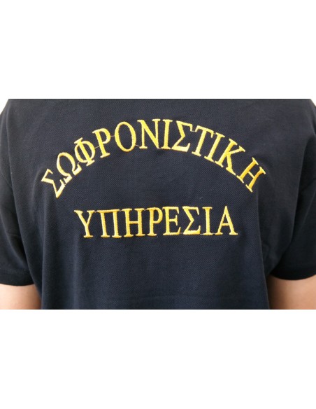 POLO ΜΠΛΕ GFII ΣΩΦΡΟΝΙΣΤΙΚΗ ΥΠΗΡΕΣΙΑ